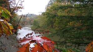 A river surrounded by trees with autumn leaves. - 6 Bedroom Cottage Retreat with Conneaut Creek access (Kingsville)