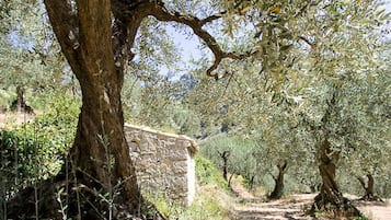 Terrein van de accommodatie