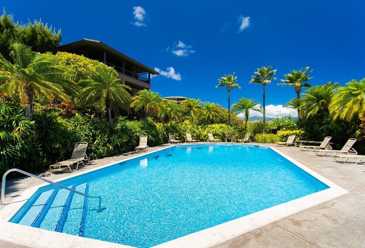 Une piscine rectangulaire à l’eau d’un bleu limpide, entourée de chaises longues et de palmiers, avec un bâtiment visible au loin.