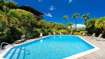 Une piscine rectangulaire à l’eau d’un bleu limpide, entourée de chaises longues et de palmiers, avec un bâtiment visible au loin.
