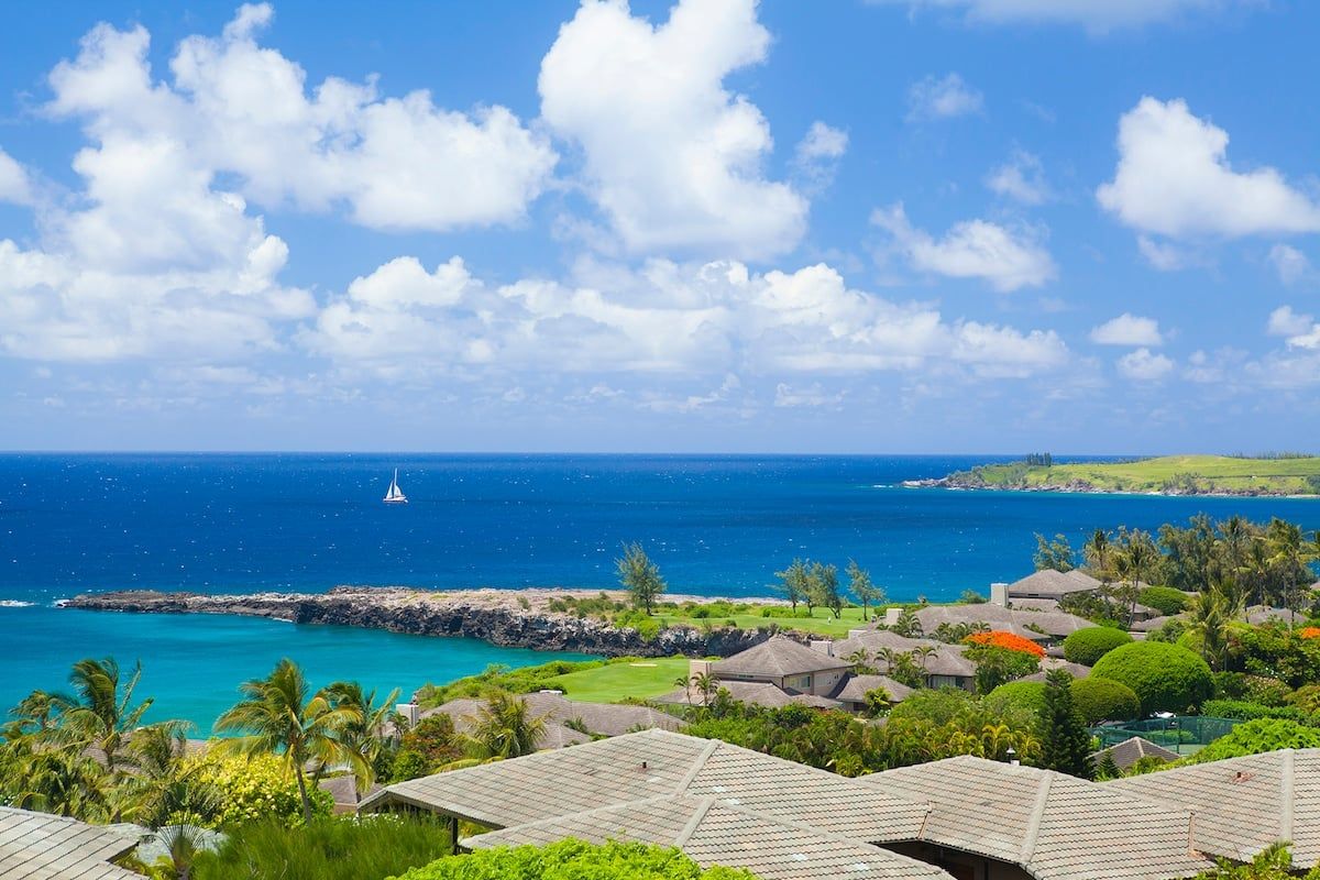 A coastal view with a clear sky, a sailboat, and a residential area with houses and greenery.