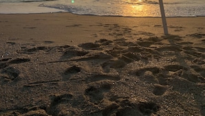 Une canne à pêche sur une plage, avec des empreintes de pas dans le sable et le soleil se couchant sur l’océan.