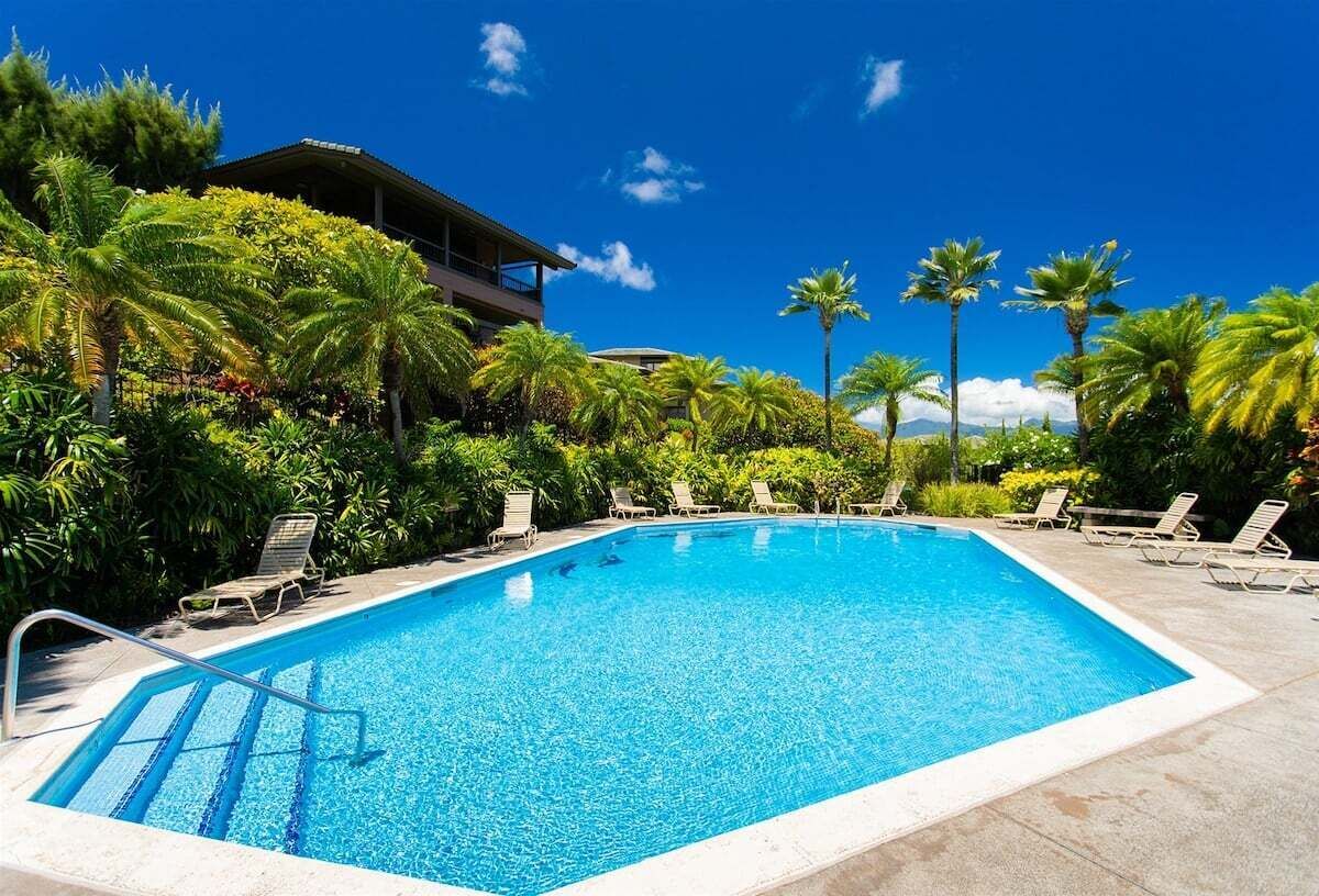 Une piscine rectangulaire à l’eau d’un bleu limpide, entourée de chaises longues et de palmiers, avec un bâtiment visible au loin.