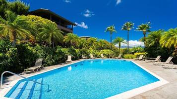 Une piscine rectangulaire à l’eau d’un bleu limpide, entourée de chaises longues et de palmiers, avec un bâtiment visible au loin.