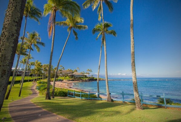 Sun-loungers, beach towels, fishing - Luxury Kapalua Ridge Villa Featuring Sparkling Ocean, Island and Coastal Views! (Lahaina)