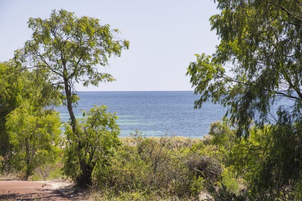 A coastal landscape with trees and a clear view of the sea.