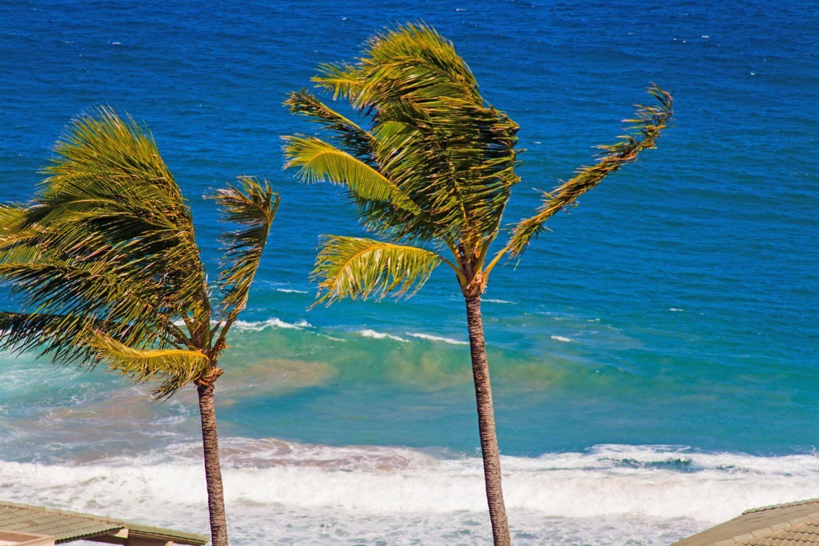 Sun-loungers, beach towels, fishing