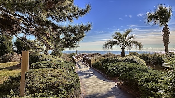 Ein hölzerner Steg führt zu einem Strand mit Palmen und dichter Vegetation.