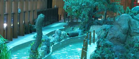 Piscine intérieure, piscine extérieure