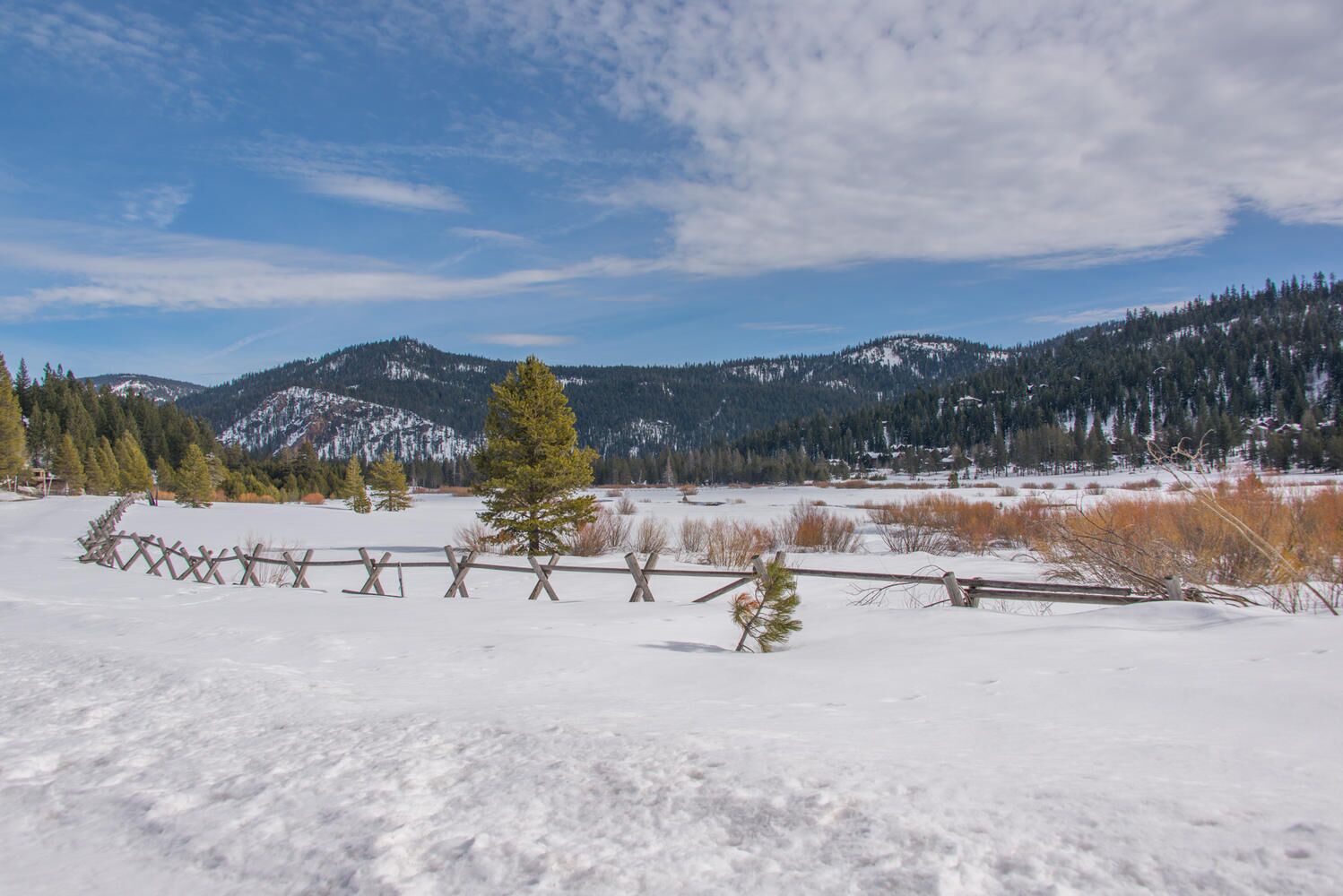 A snowy landscape with a wooden fence, a small tree, and a mountain range in the background.
