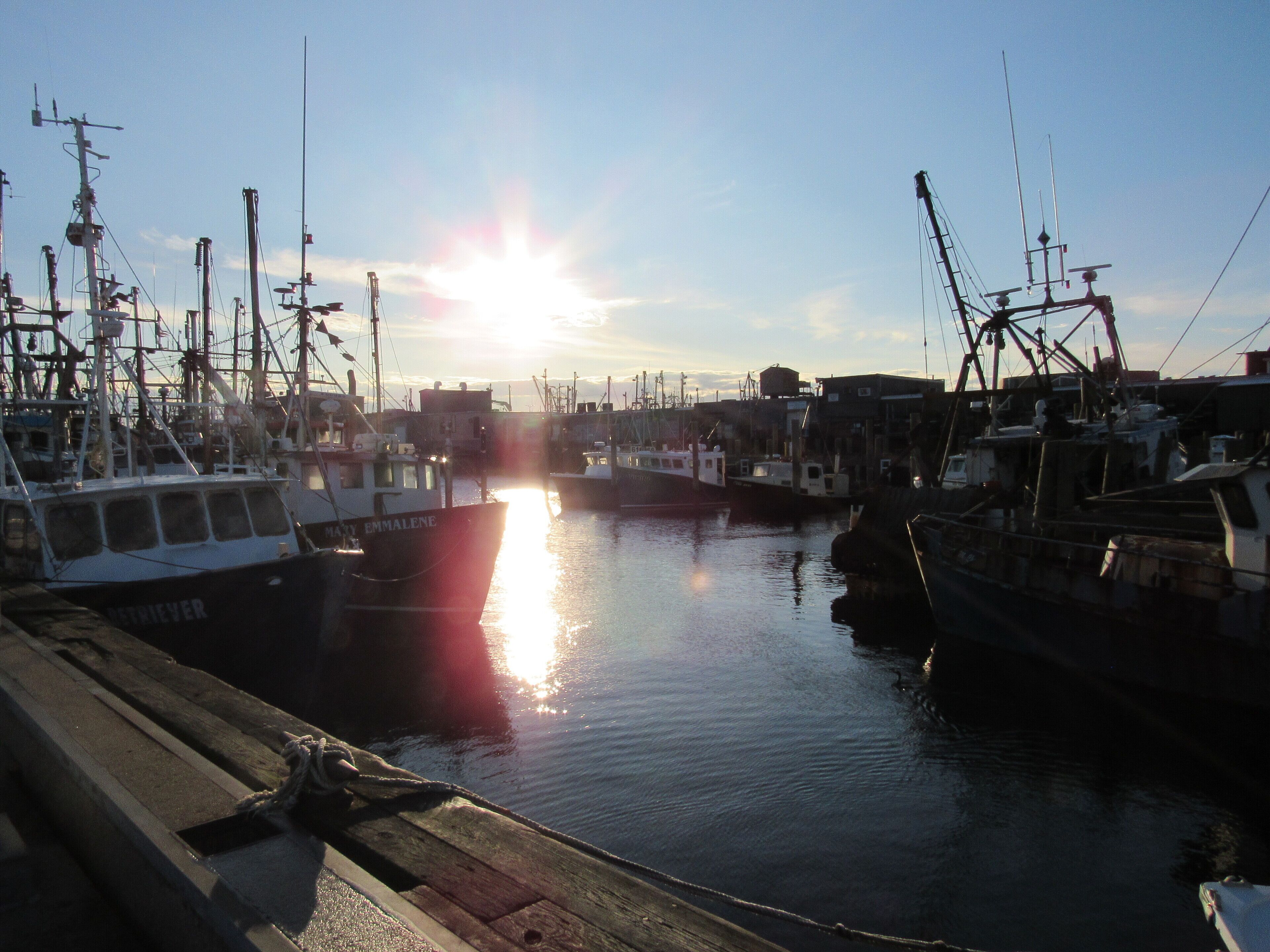 Marina