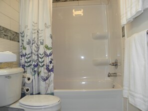 Combined shower/bathtub, hair dryer, towels, soap - Make yourself at home in this cute and bright apt! (Ann Arbor)