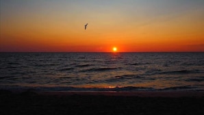 Un atardecer sobre el océano con la silueta de un pájaro volando.