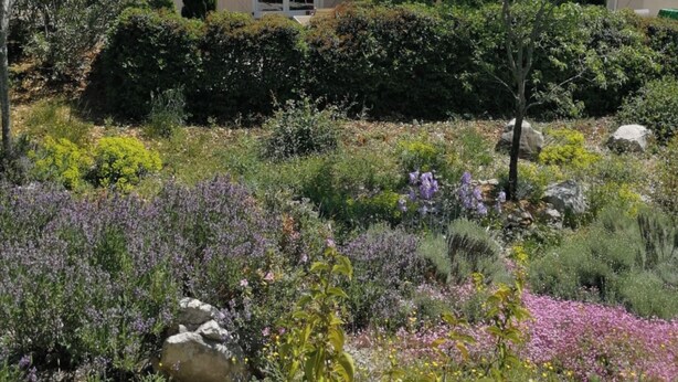 A house with a tiled roof, surrounded by a garden with various plants and flowers. - Gîte l'Amandier (Vogüé)