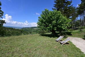 A grassy area with two lounge chairs and a tree.