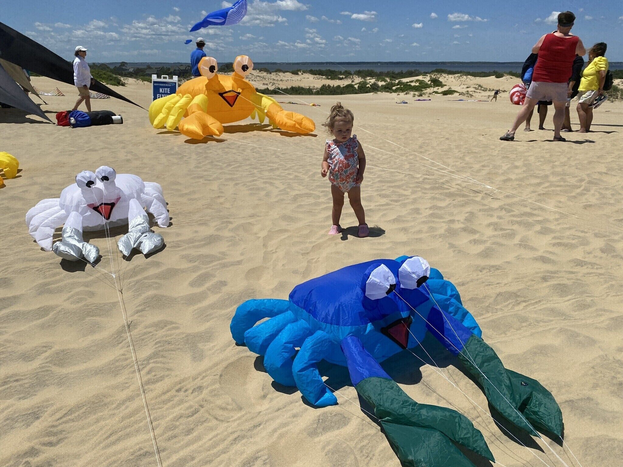 Una playa arenosa con figuras inflables gigantes de animales y una cometa volando al fondo.