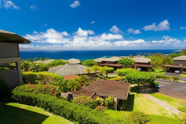 A residential area with houses, a parking lot, and a view of the ocean.