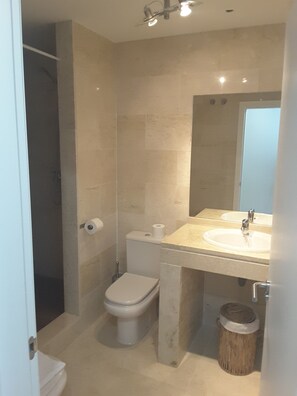 Combined shower/bathtub, hair dryer, bidet, towels