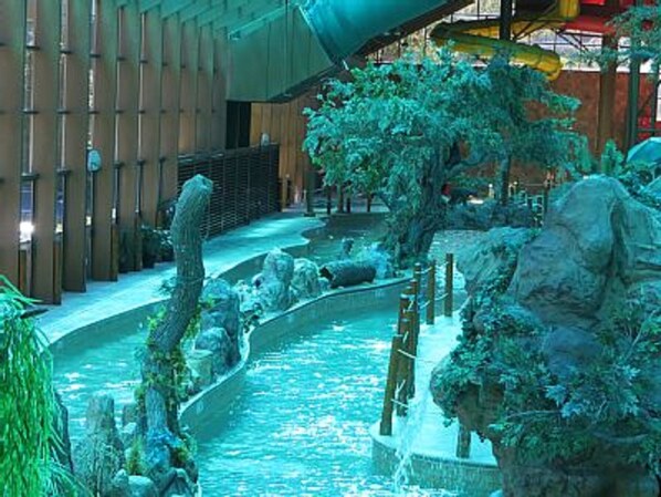 Pool - One Deluxe Cabin-Like Unit Located Near Great Smoky Mountain Park (Gatlinburg)