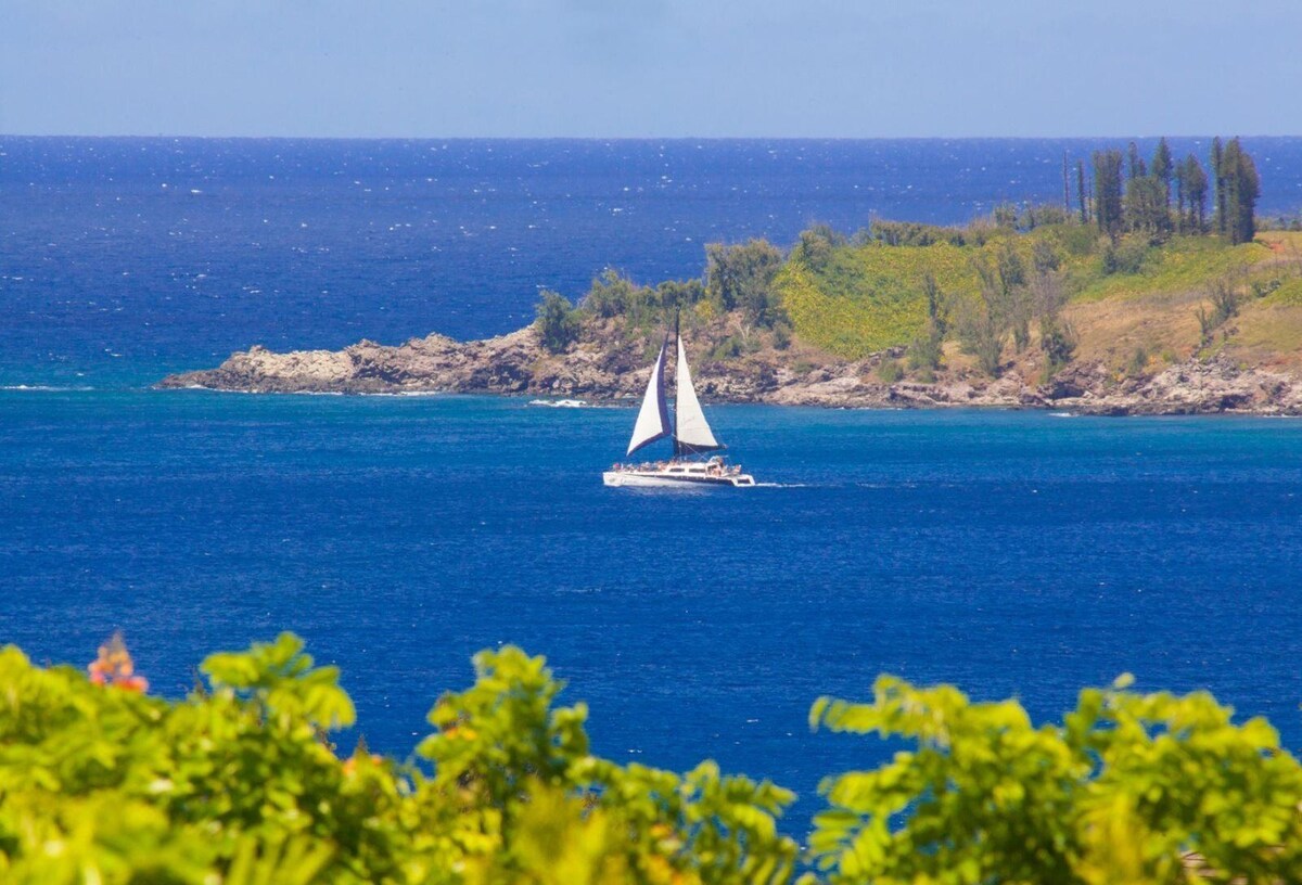 Værtens profilbillede