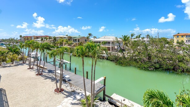 A waterfront hotel with a dock, palm trees, and a clear view of the water.