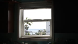 A window with a view of the ocean and palm trees.