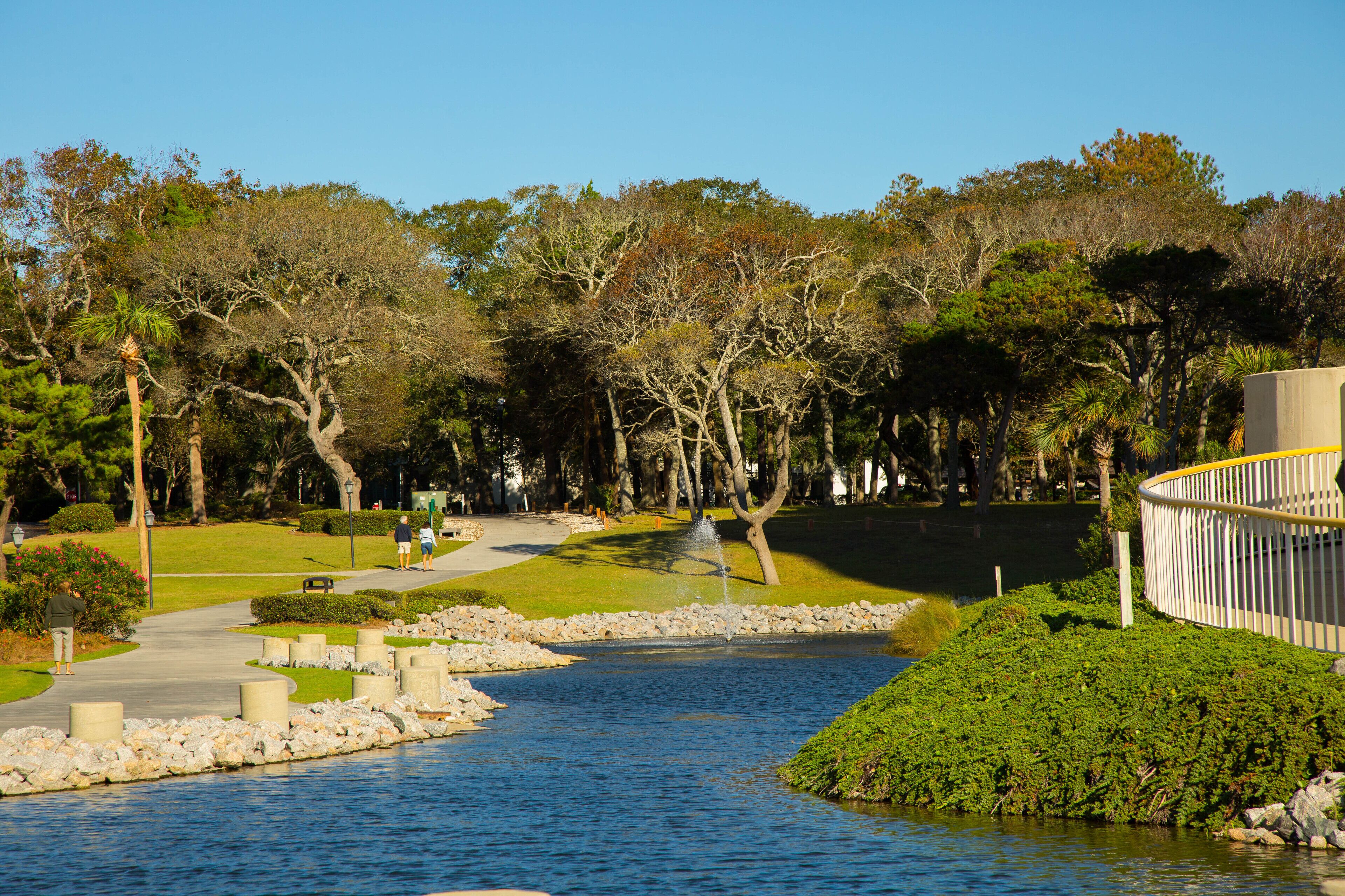 A park with a pond, walking paths, and trees.