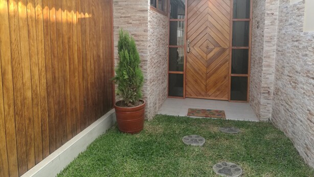 Un mur extérieur en bois, un arbuste à feuilles persistantes planté dans un pot, une porte en bois avec des panneaux de verre, et une petite zone herbeuse agrémentée de pas japonais.