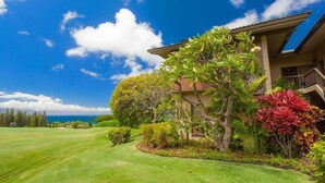 A house with a well-maintained lawn, a large tree, and a view of the ocean.