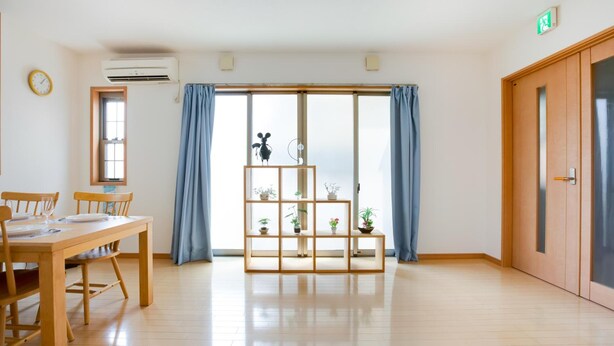 Une pièce spacieuse avec un plancher en bois, une table à manger avec des chaises, une fenêtre avec des rideaux et un présentoir pour plantes.
