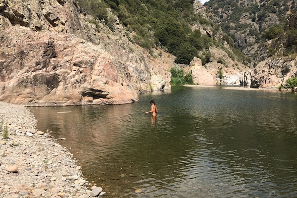 ビーチ