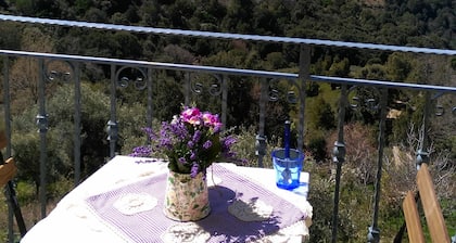 Nuevo!La Stellaria, casa romántica en la montaña, rodeada de vegetación.