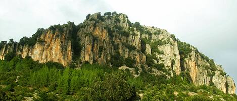 Une montagne à la surface rocheuse, dont le pied est recouvert d’une végétation verte et luxuriante.