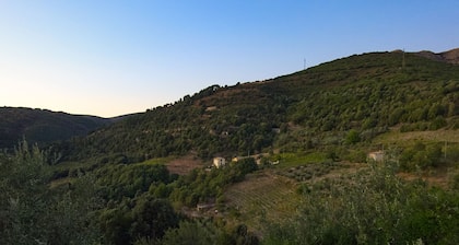 New!La Stellaria, romantic house in the mountains, surrounded by greenery