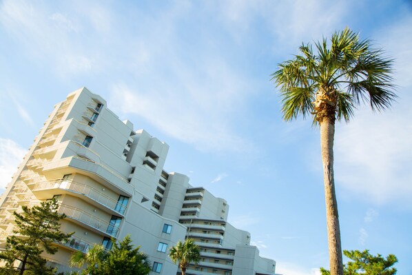 A high-rise hotel with multiple balconies and a palm tree in the foreground.