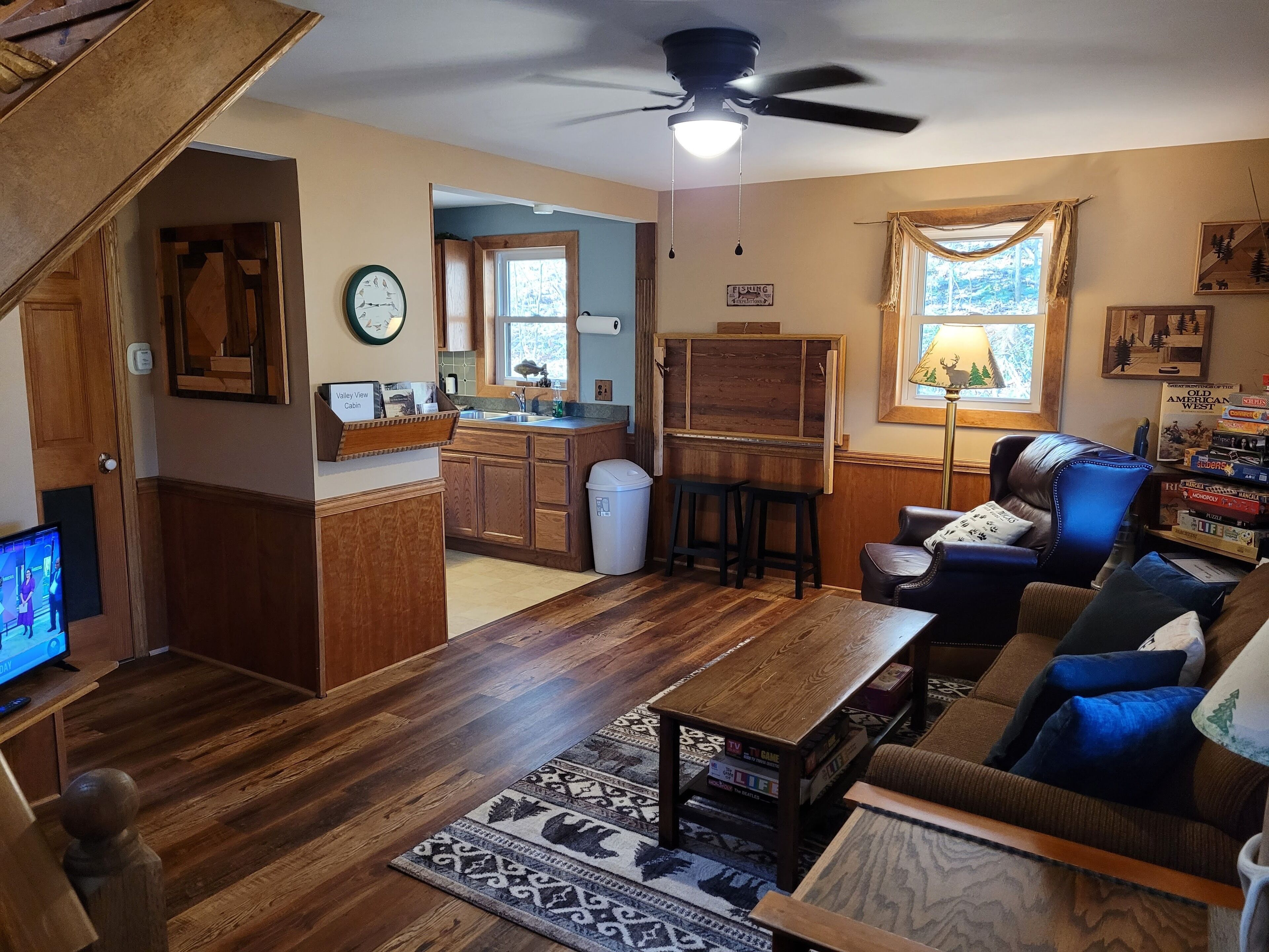 Televisor intel·ligent, videojocs, reproductor de DVD i llibres 