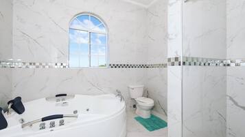 Combined shower/bathtub, jetted bath, towels, toilet paper