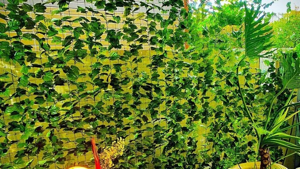Uma área de refeições com uma mesa redonda, cadeiras, uma planta em vaso e uma parede coberta por folhagem verde.
