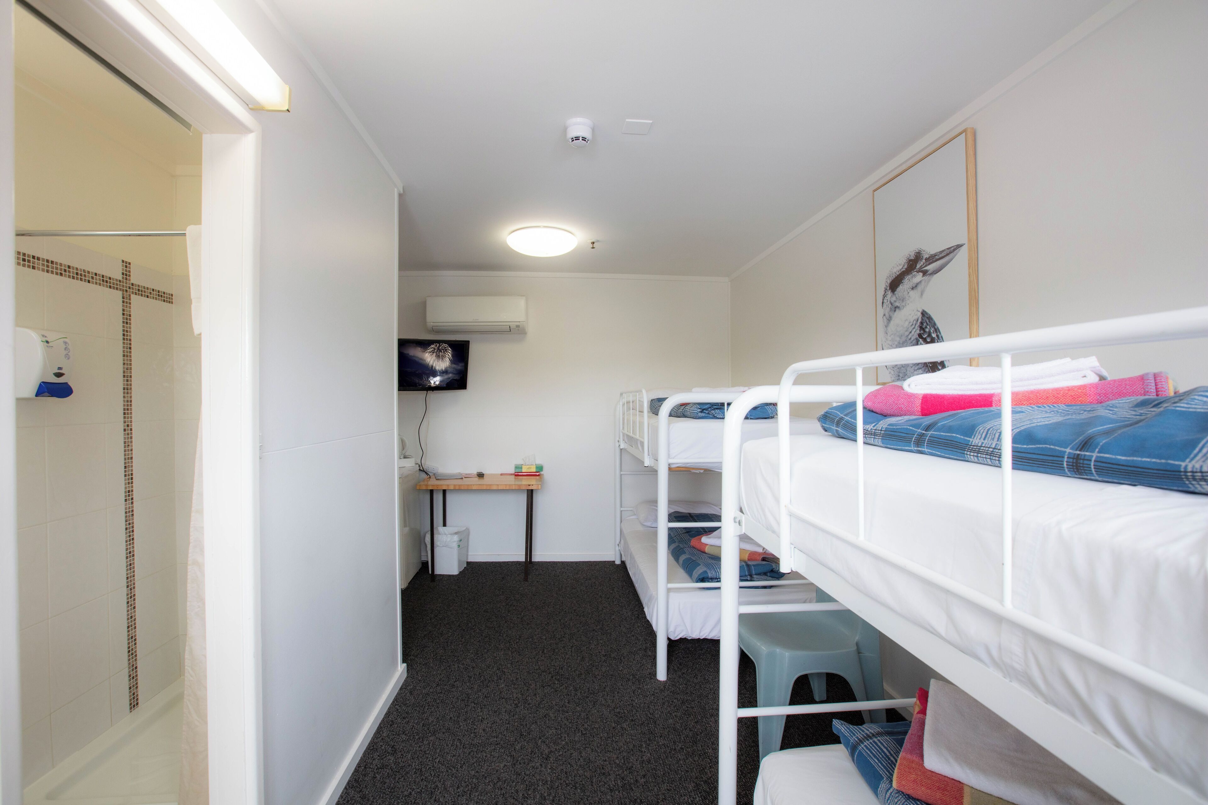A dormitory room with bunk beds, a desk, and a shower area.
