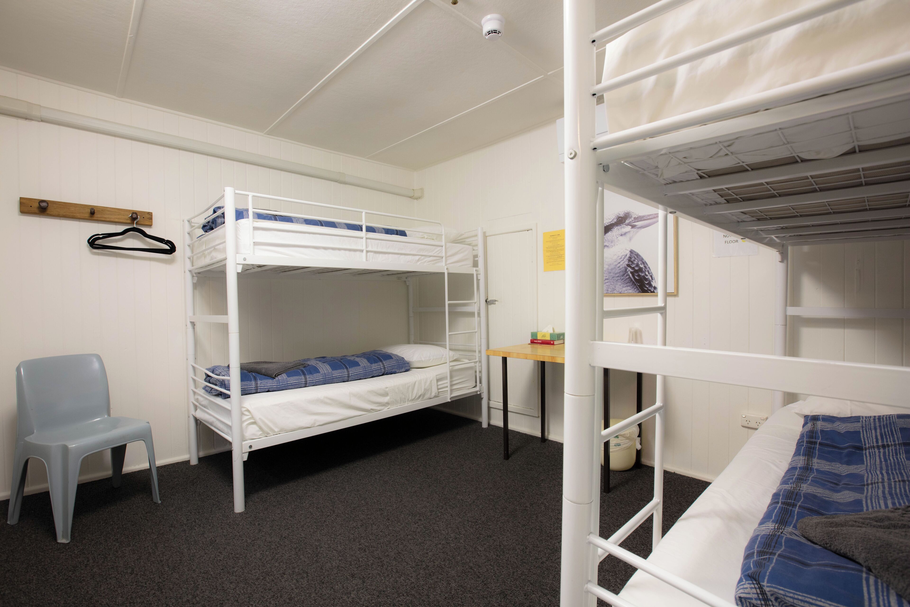 A dormitory room with bunk beds, a desk, a chair, and a small table.