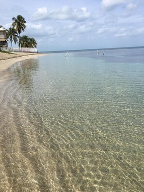 Une plage avec une eau claire et peu profonde, des palmiers et une vue lointaine sur l’océan.