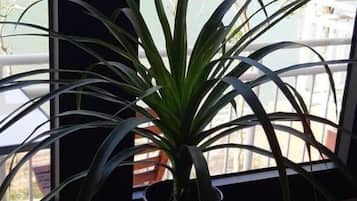Balcon