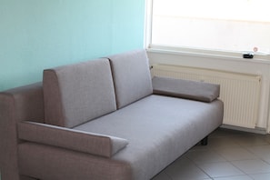 Fernseher, Bücher