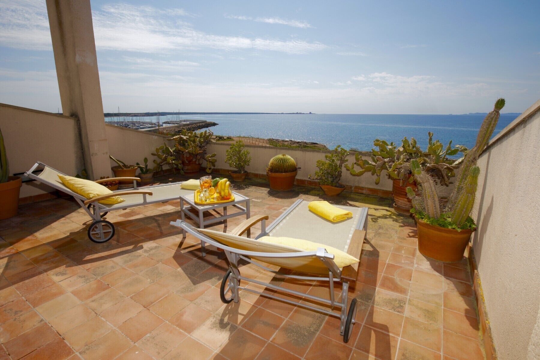 A terrace with two sun loungers, a table with a tray of snacks, and several potted cacti.