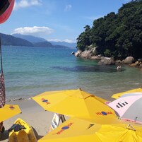 Pesca