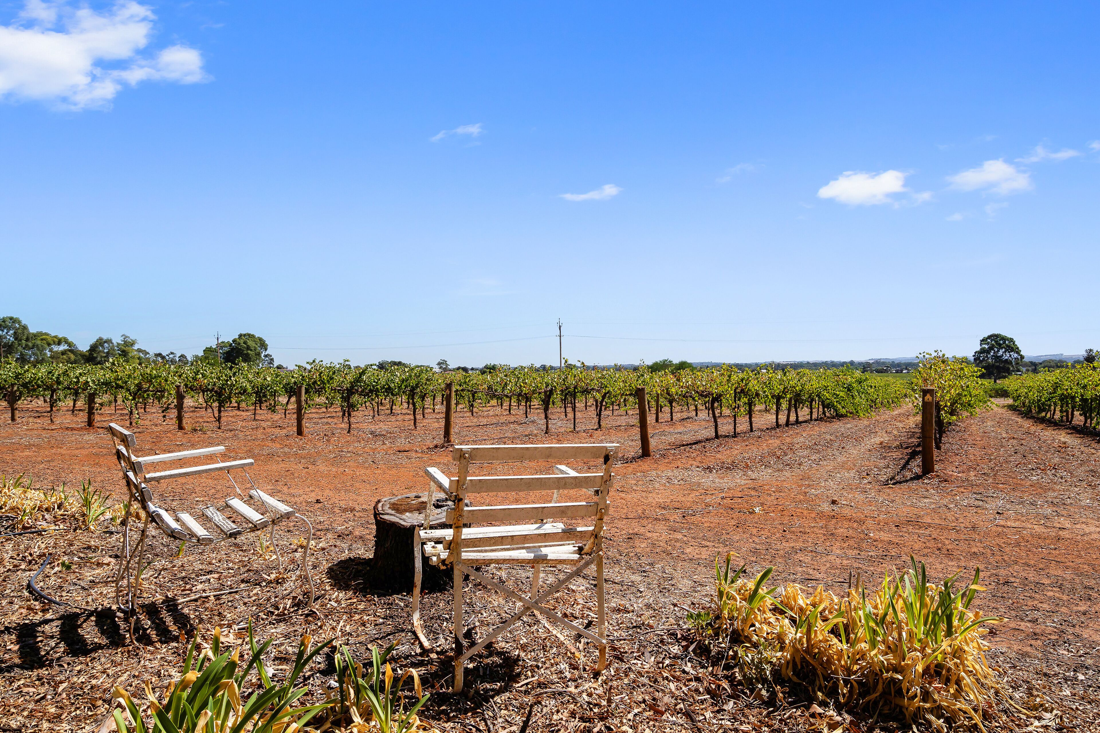 Boutique accommodation peacefully set amongst you're own private vineyard  — image 14