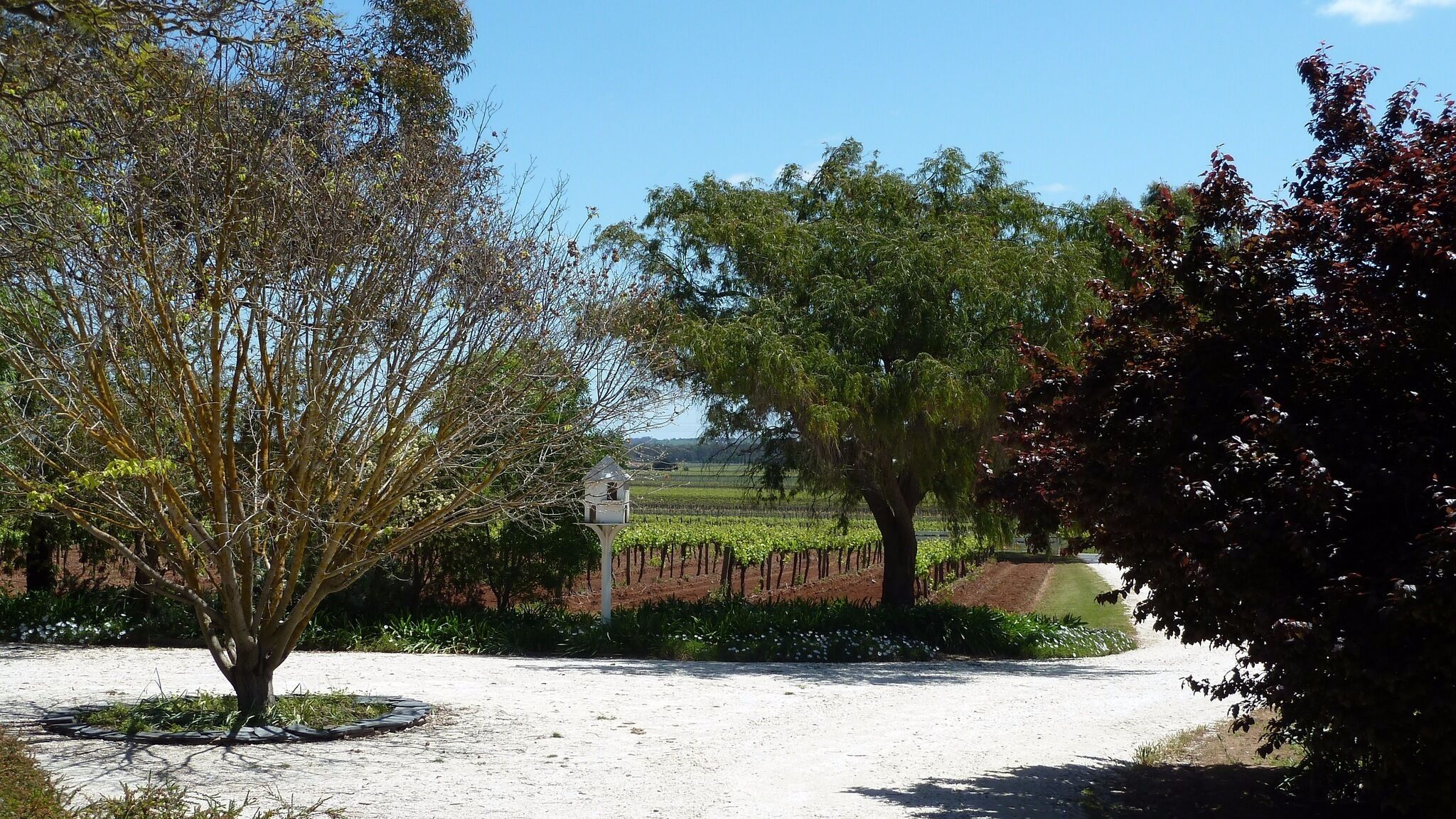 Boutique accommodation peacefully set amongst you're own private vineyard  — image 13