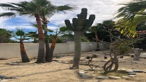 Overnattingsstedets uteområder