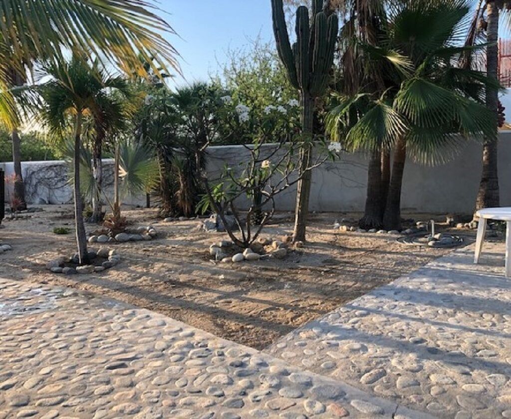 Terraza o patio
