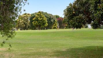 Ein Golfplatz mit gepflegtem Grün, Bäumen und blauem Himmel.